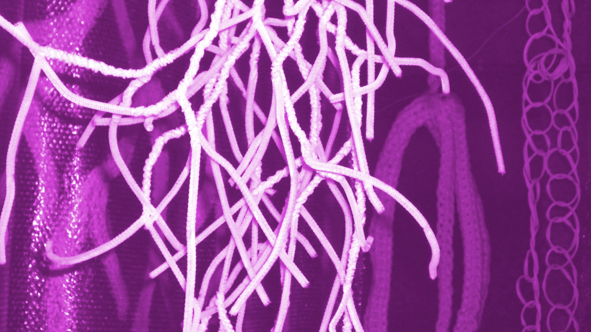 An image from Michal Teague showing work-in-progress from their exhibition work. A mycelial form in magenta.