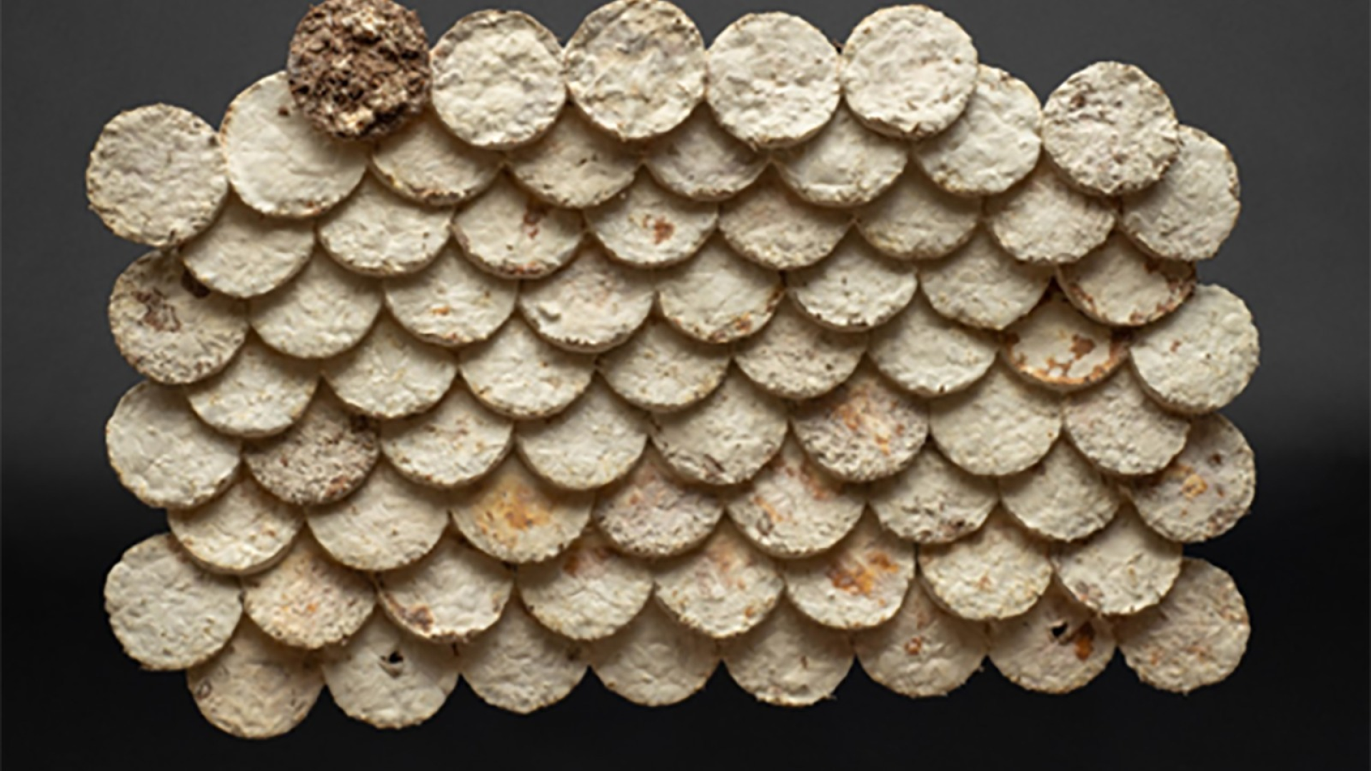 Photo of Mycelium tiles as a wall screen